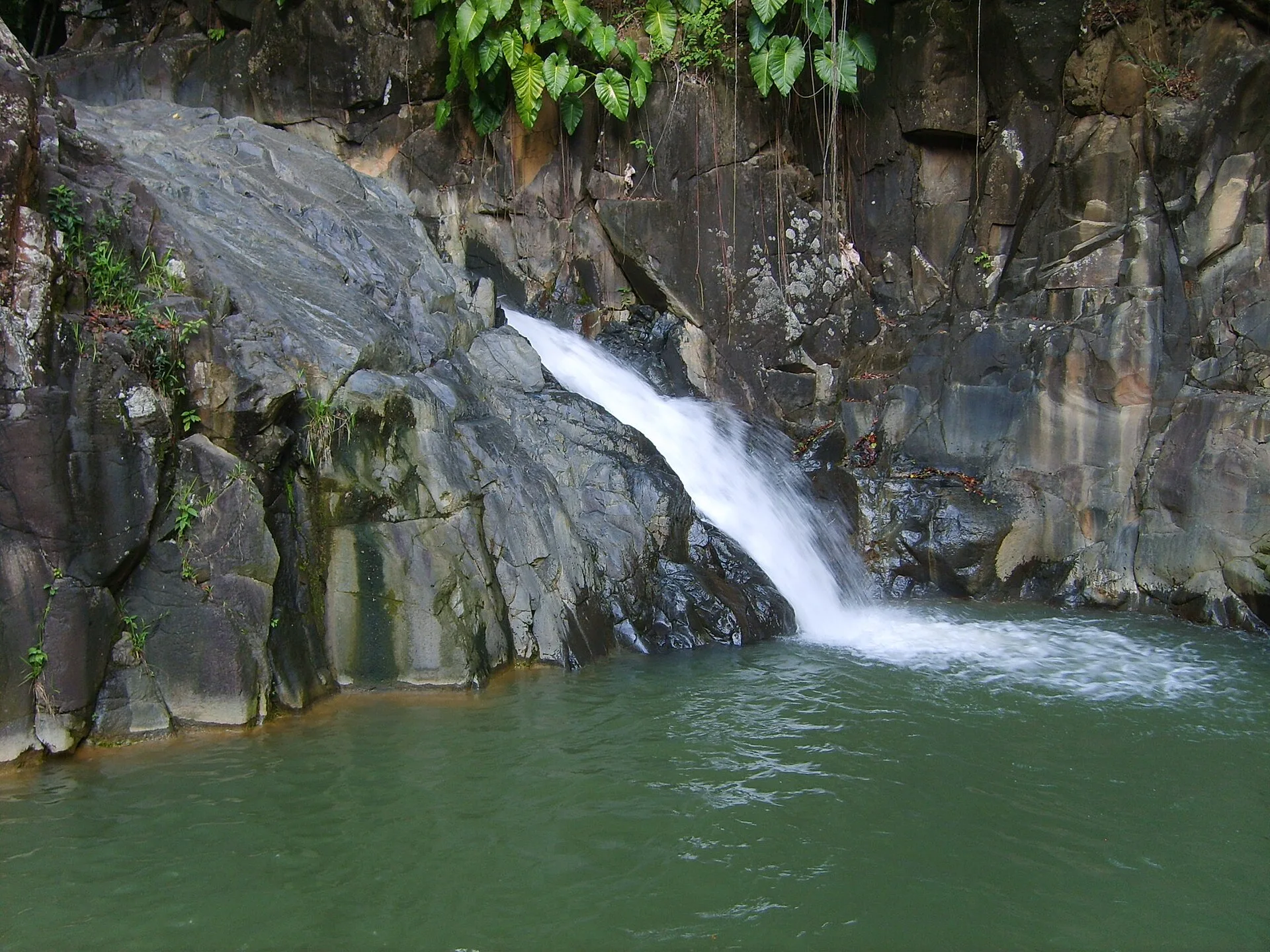 Chute d'eau dans la forêt tropicale de Basse-Terre en Guadeloupe