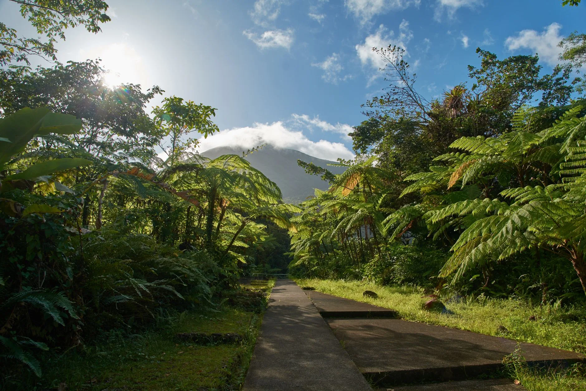 Jour 4 : la Soufrière et les cascades de Basse-Terre